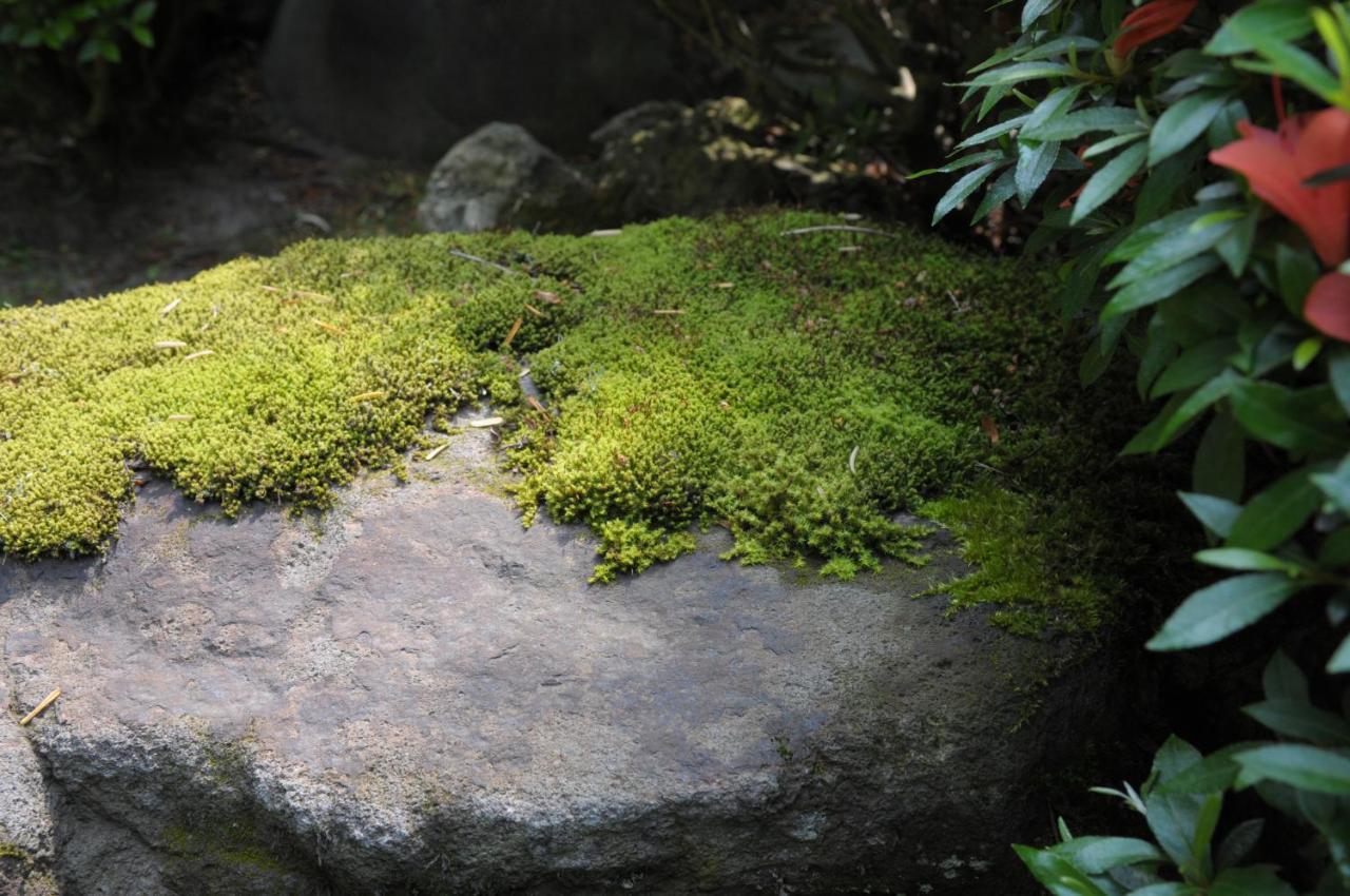 Historical Ryokan Senyukan Owani Eksteriør bilde