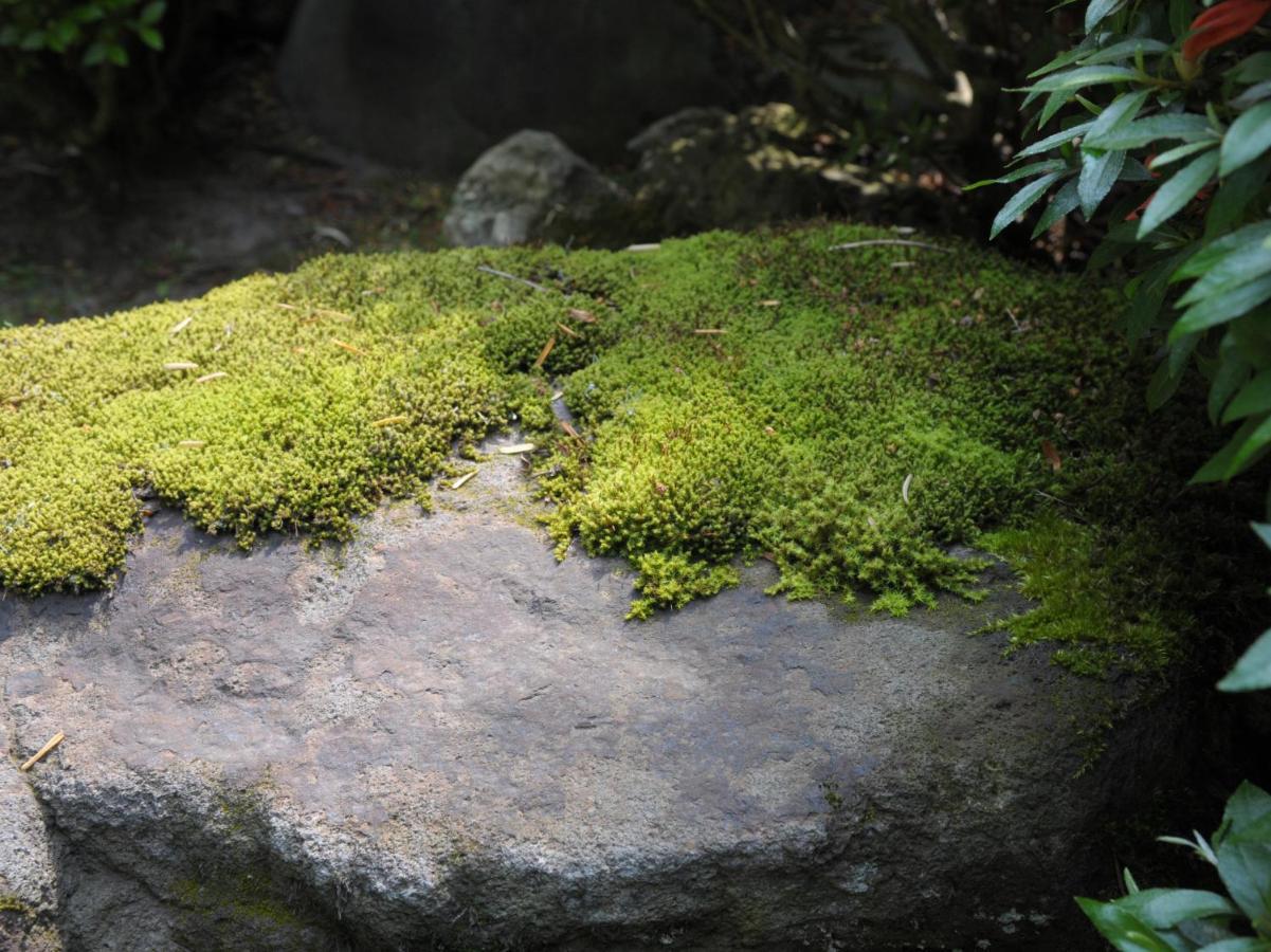 Historical Ryokan Senyukan Owani Eksteriør bilde